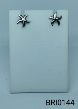 brinco inox estrela do mar