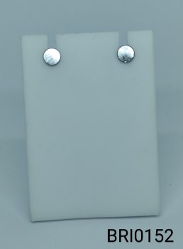 brinco inox placa redonda