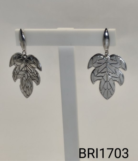 brinco inox  folha desenhada